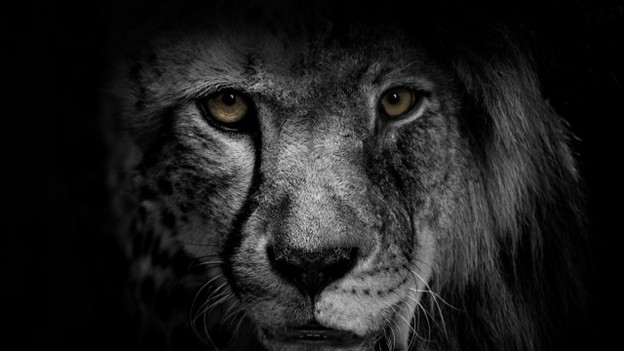 Leadership Agility: When Plans Break, Leaders Bend—Not Snap